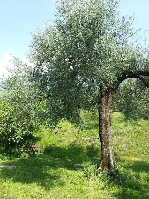Nyaraló Ca' Dei Gatti Villa Toscolano-Maderno Olaszország